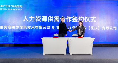 渝中區(qū)舉辦優(yōu)質(zhì)人力資源服務(wù)推介與重點(diǎn)單位需求對(duì)接活動(dòng)，譜寫產(chǎn)業(yè)發(fā)展新篇章